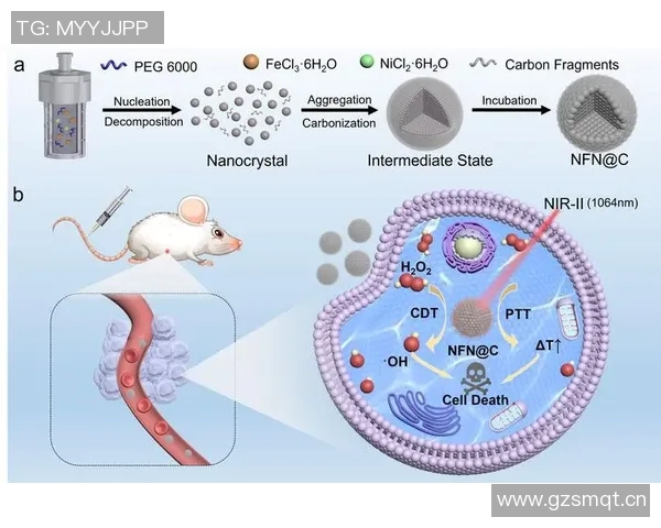 数据分析揭示EDG团队协作表现的关键因素与提升策略